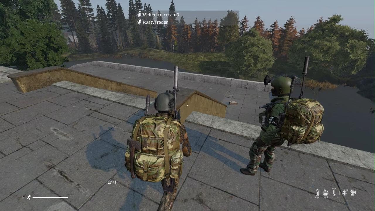 DayZ_20260219072052