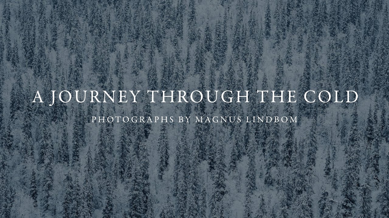 A Journey Through the Cold (Lapland)