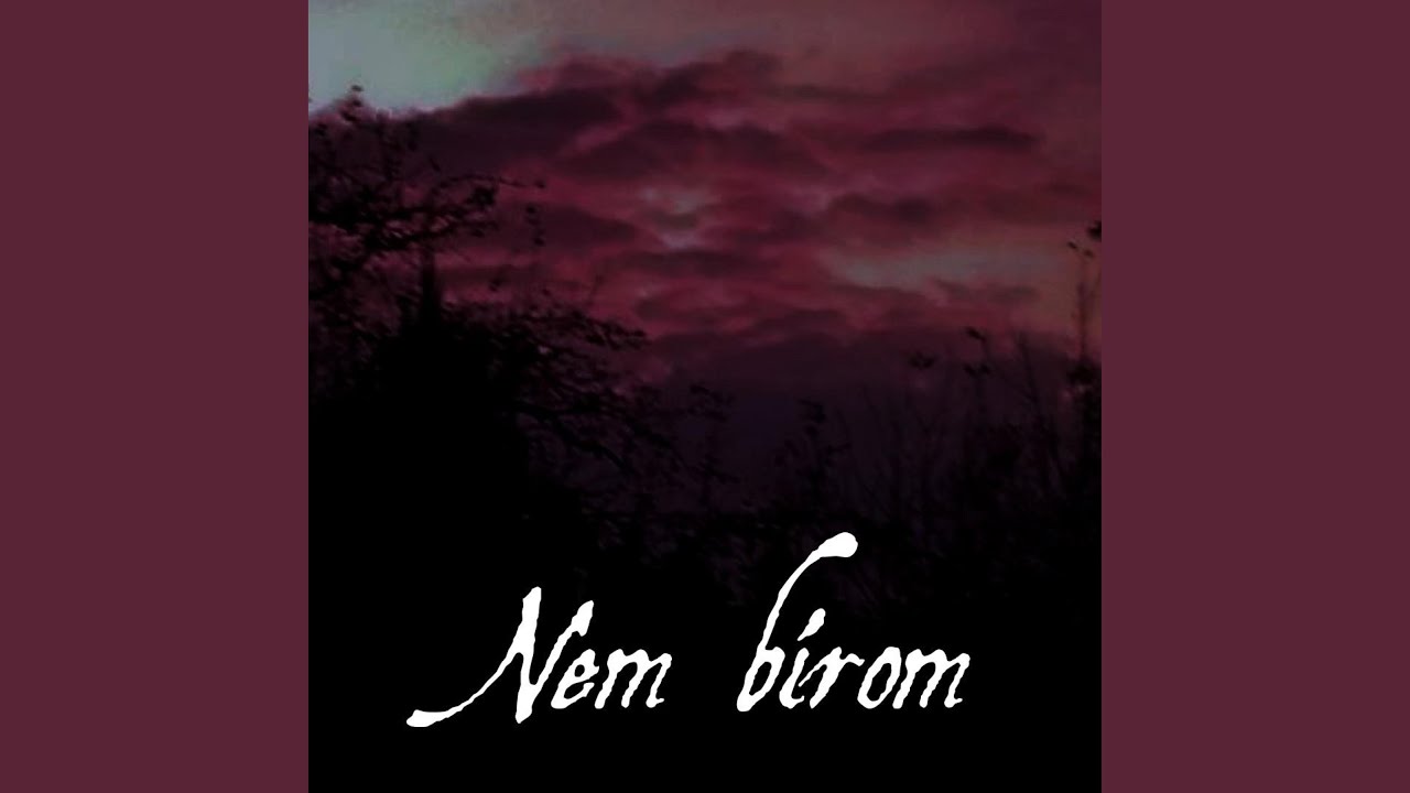 Nem bírom