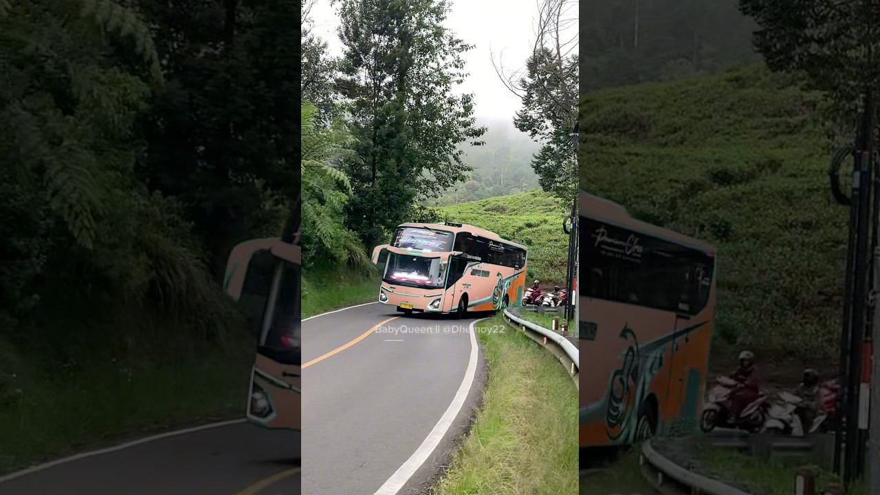 Bus Run And Run - Bareng Komang Jempol Trans #shorts