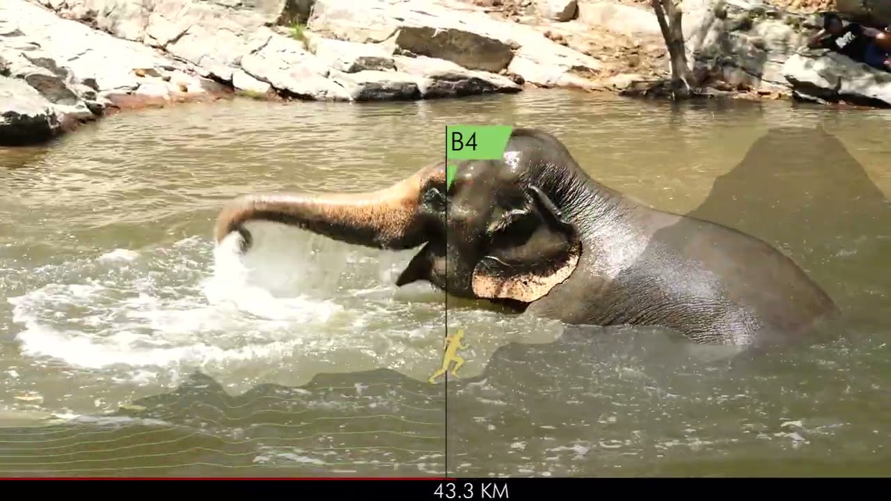 DITUTMB2023_ELEPHANT 100