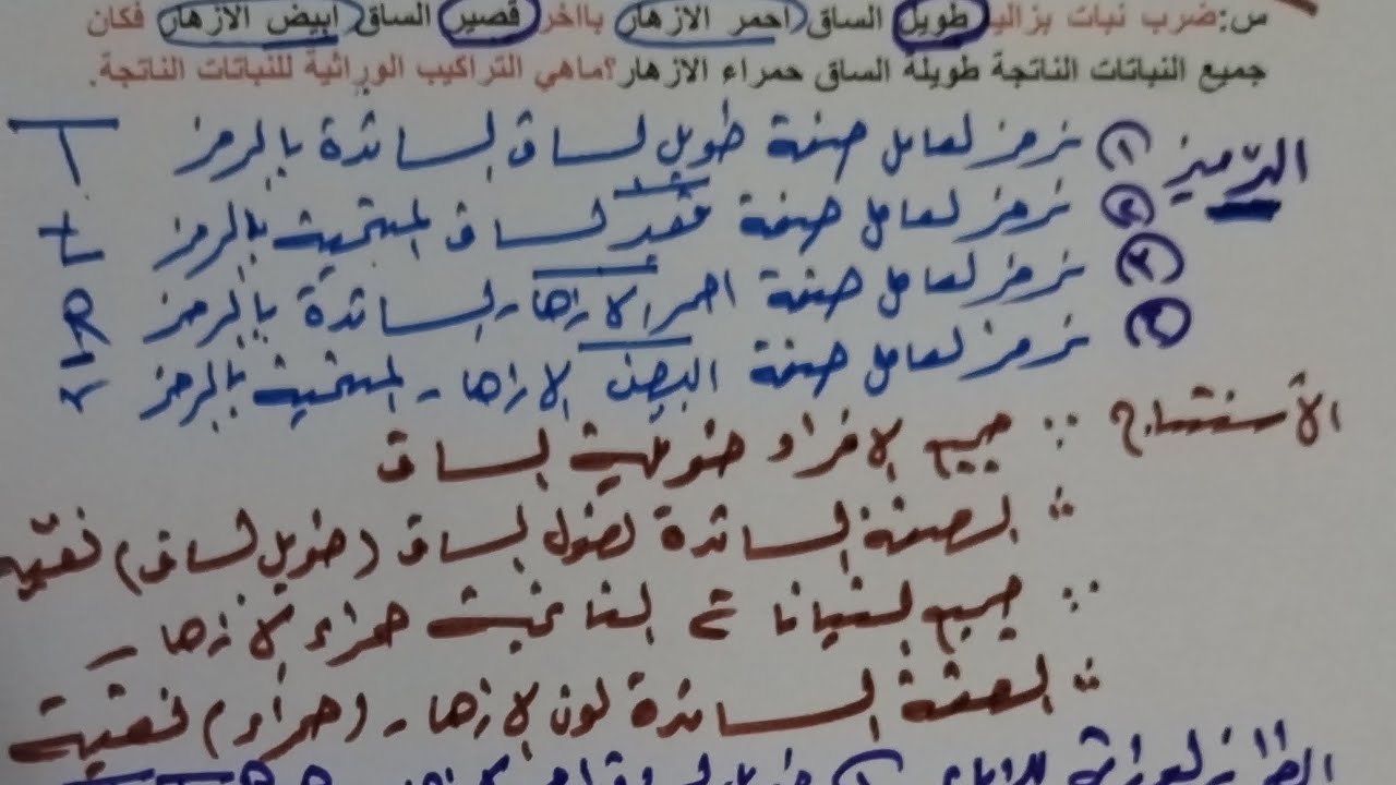 الوراثة/قانون مندل الثاني /اسهل طريقة لحل مسائل التهجين الثنائي/الاستاذ انور السعيدي