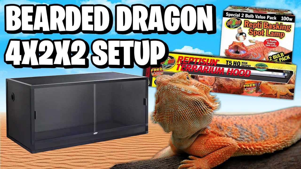 Установка для аквариума Beard Dragon на 120 галлонов!