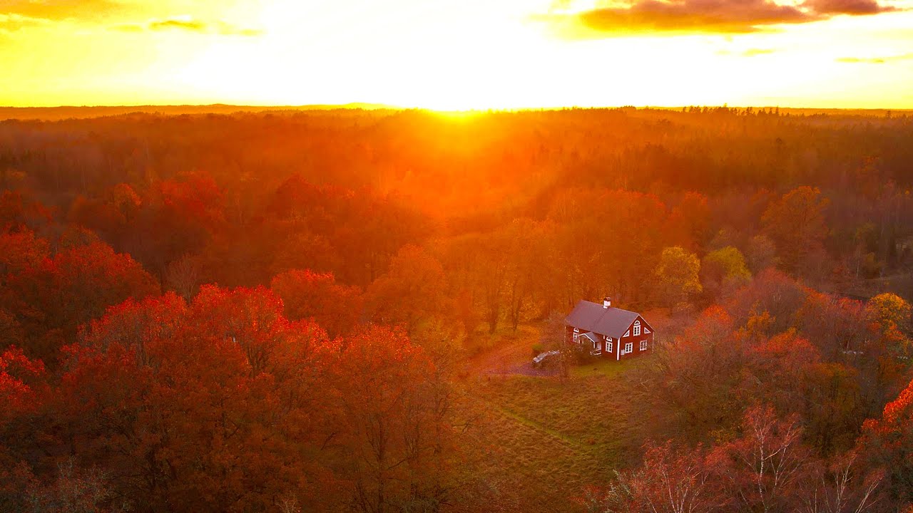 Autumn in Sweden 🍁 The Future of this Channel I Chapter 22