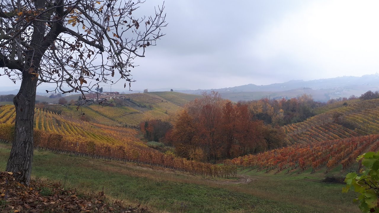 Serralunga d'Alba, autunno alle porte dell'inverno