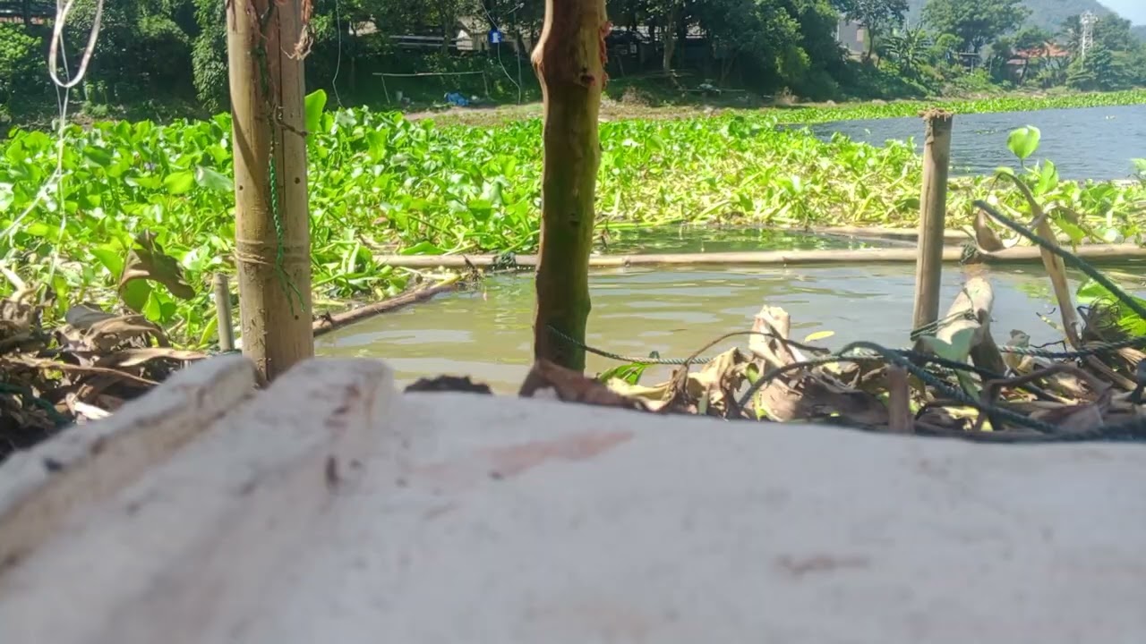Mancing jatiluhur.ombak besar episode 1