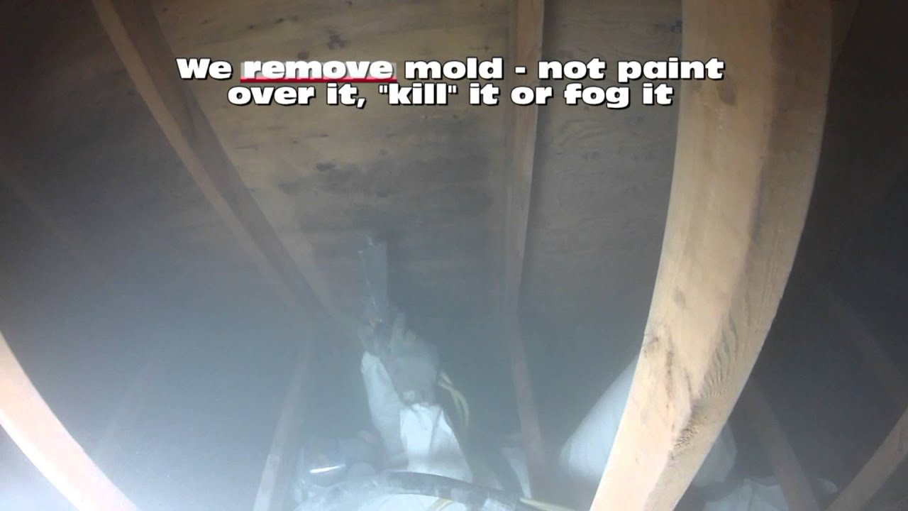 Mold Removal || Mould Removal || Media Blasting CRS