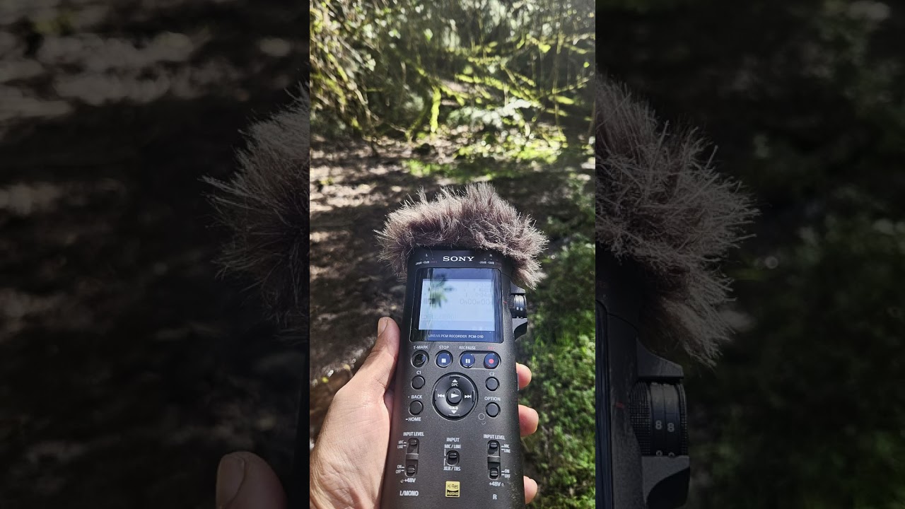 SoundHunter