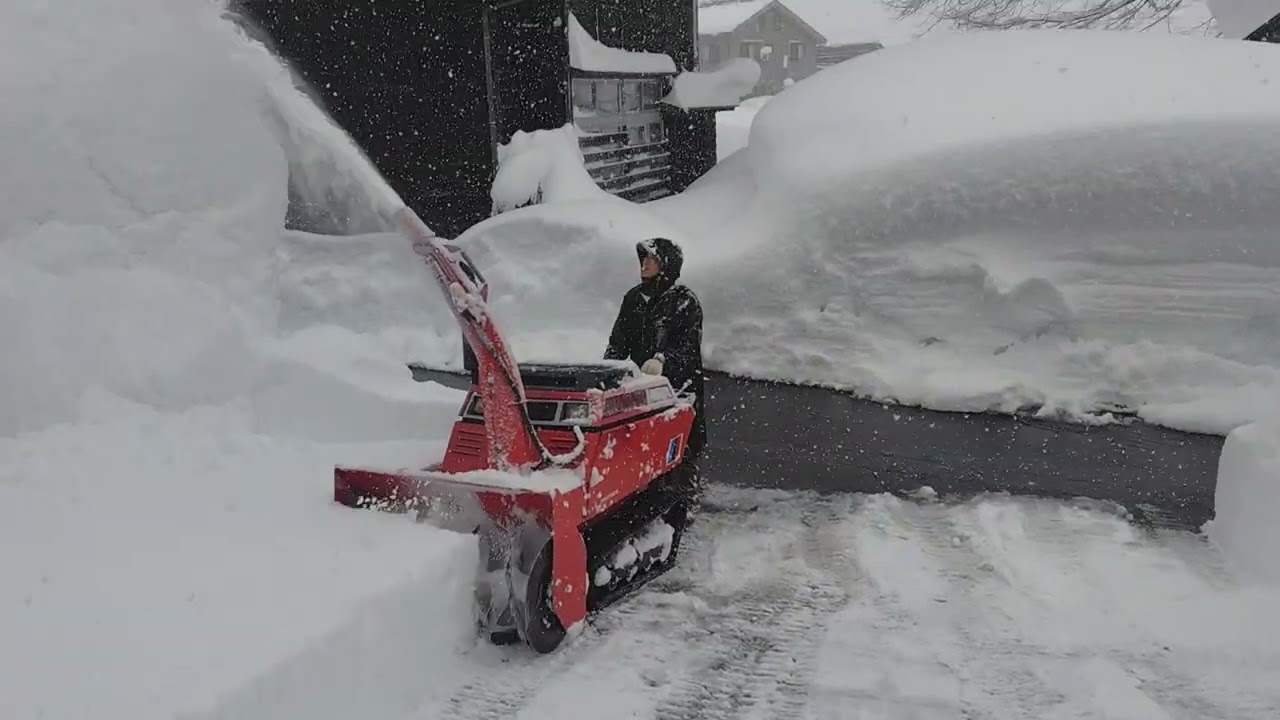 1月25日　連続5日目のフライヤー 除雪