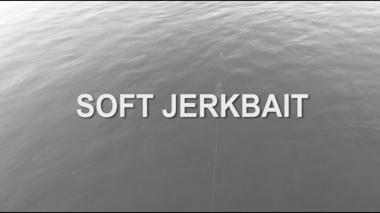 L'Achigan à petite bouche au Soft Jerkbait