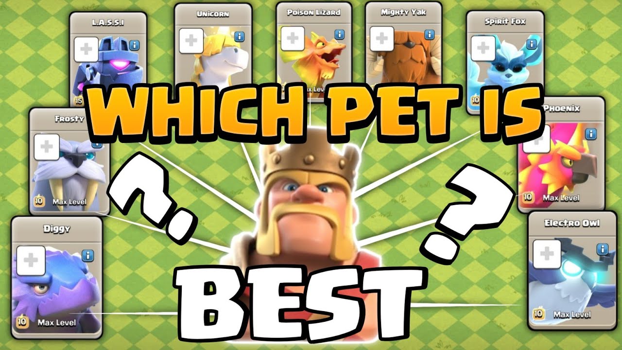 which pet is best for Heroes ? | Barbarian King | clash of clans