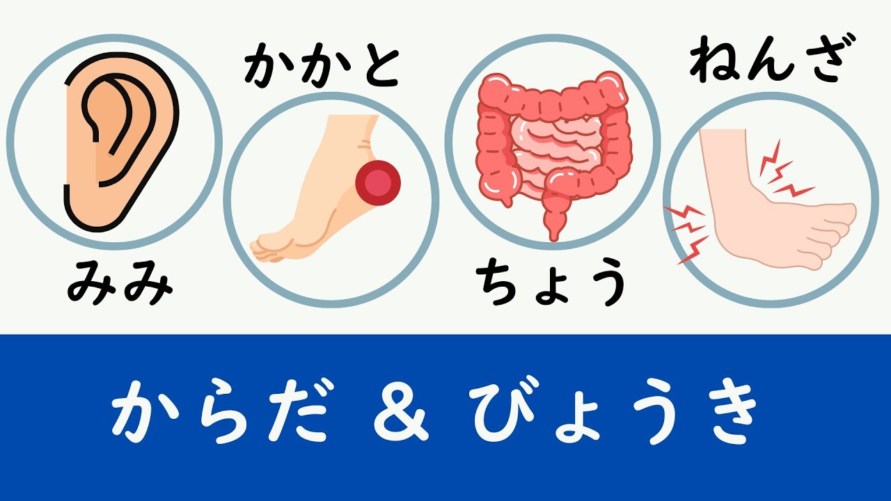 100 Japanese Words You Need: Body Parts and Symptoms Explained