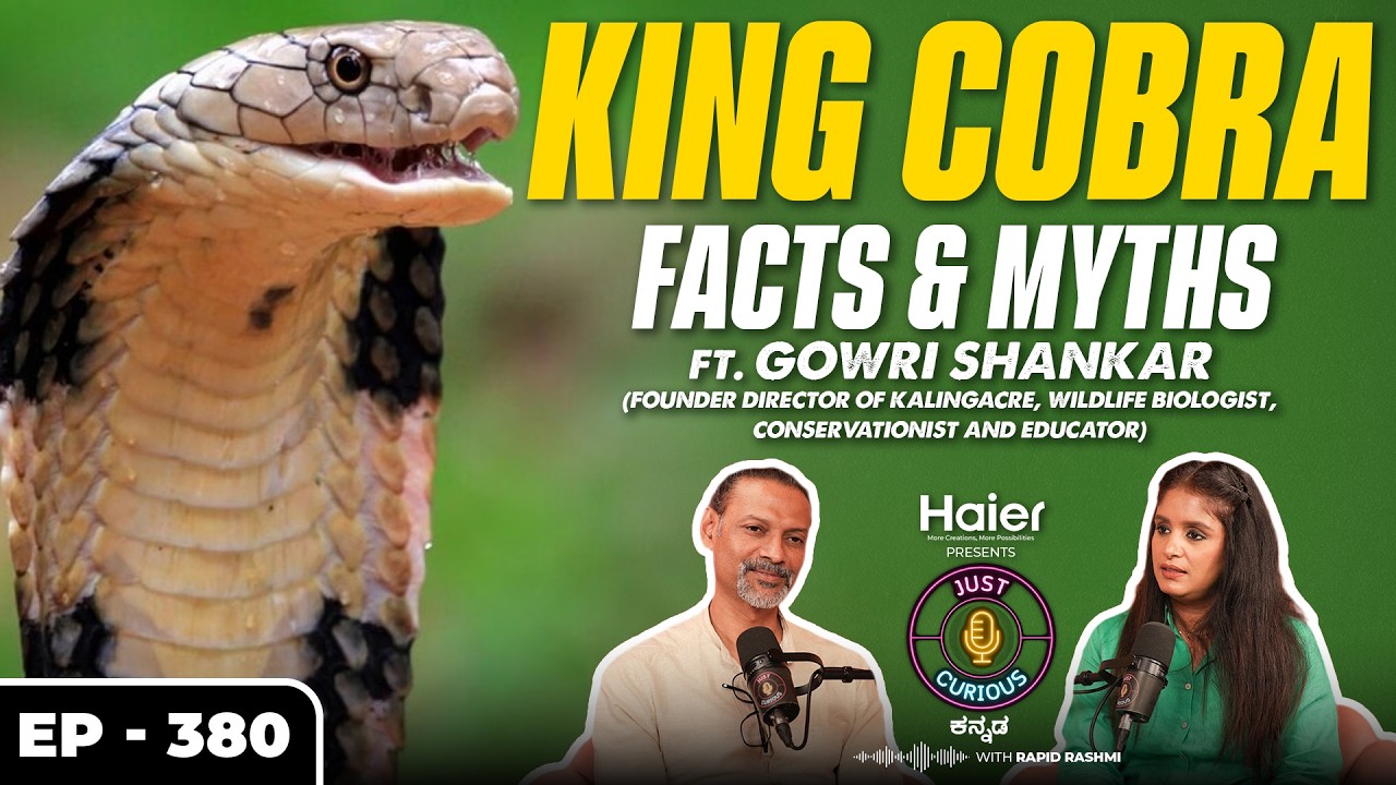 King Cobra Facts & Myths EXPOSED | How to Stay Safe, Why Snakes Enter Homes & Real Rescue Stories