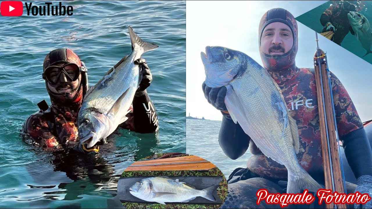 Pesca Sub: oratona XXXL 3,2kg nel banco