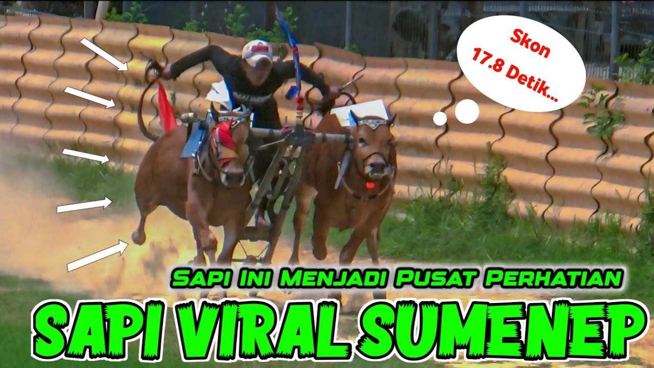 SKONNYA NGUERI..!!!!! RAMPOK ESCOBAR || KERETA MALAM || JAGAL RIBON || TOLATO & KAWAN-KAWAN