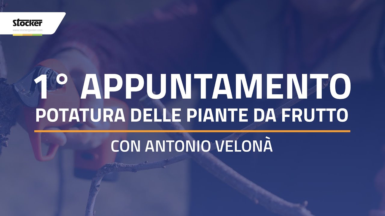 CORSO POTATURA FREE – PIANTE DA FRUTTO – LIVE 1