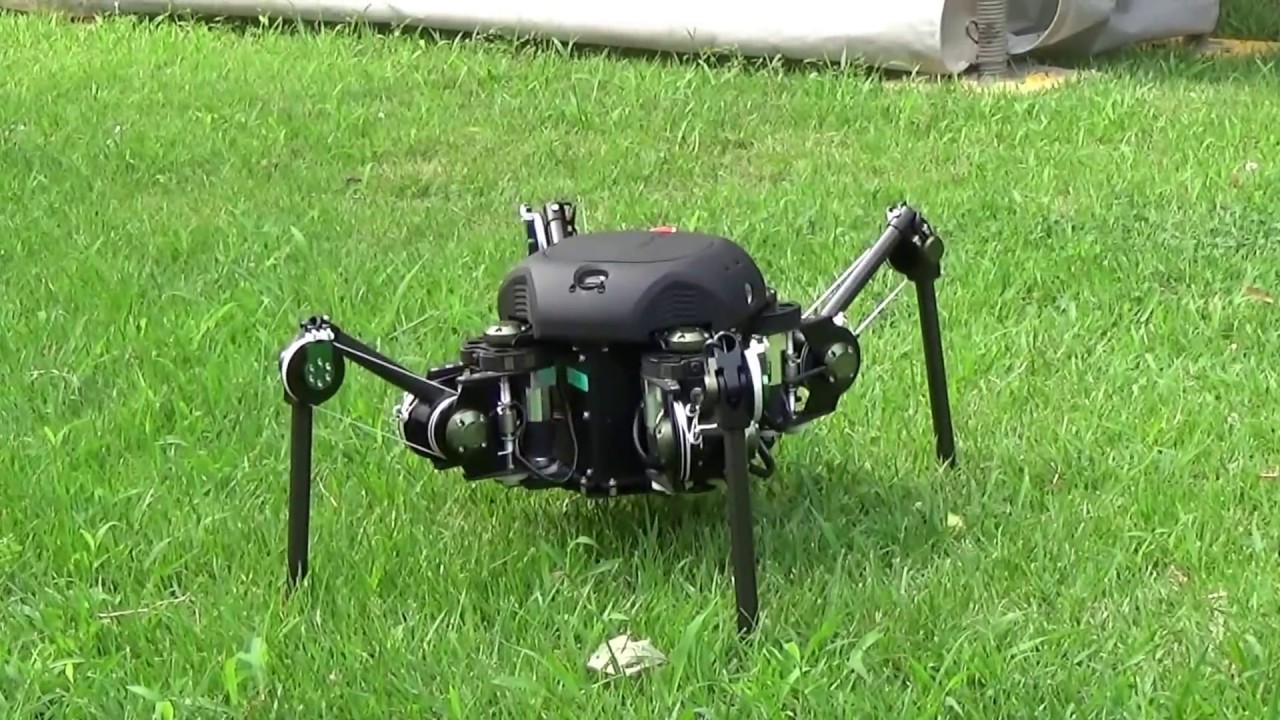 TITAN-XIII : Sprawling-type Quadruped Robot