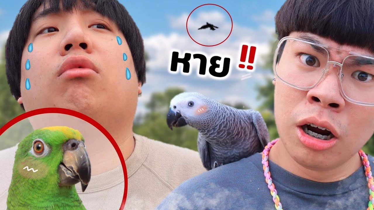 ตากล้องฝึกยังไง ราเมงหาย..!!?