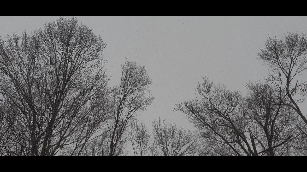 Chopin - Nocturne in C Sharp Minor (No.20)