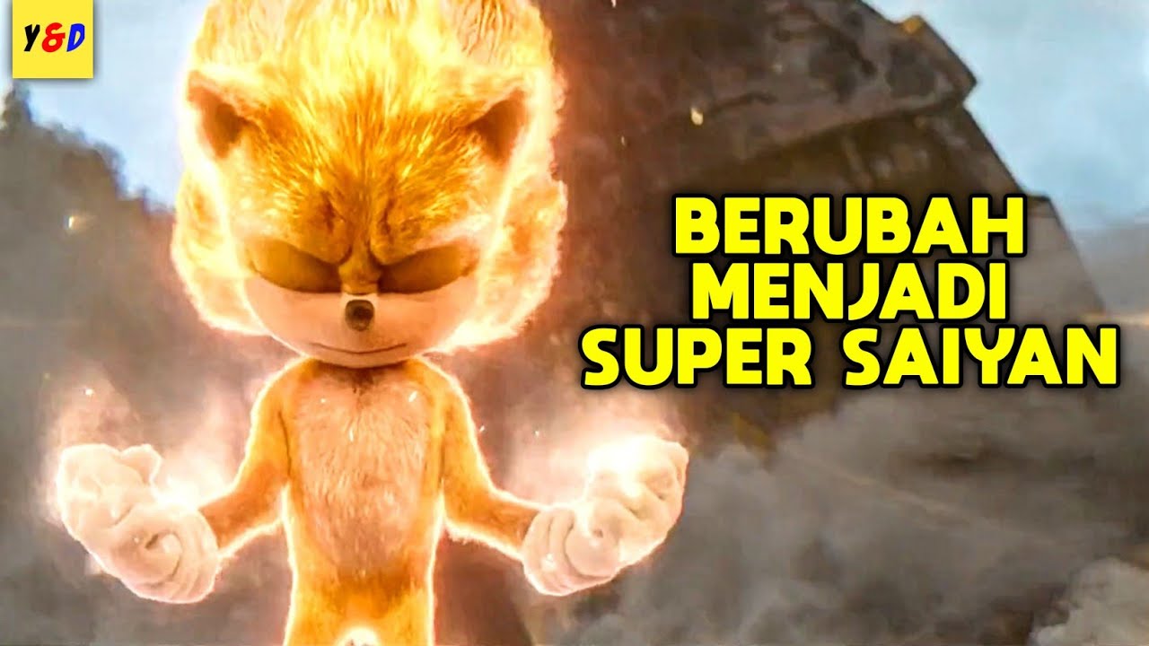 Keren !! Landak Ini Bisa Berubah Menjadi Super Saiyan - ALUR CERITA FILM