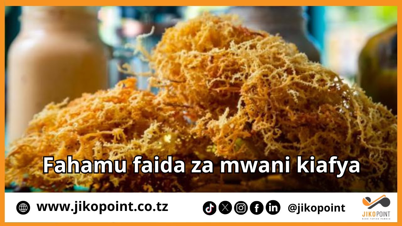 Fahamu faida za mwani kiafya