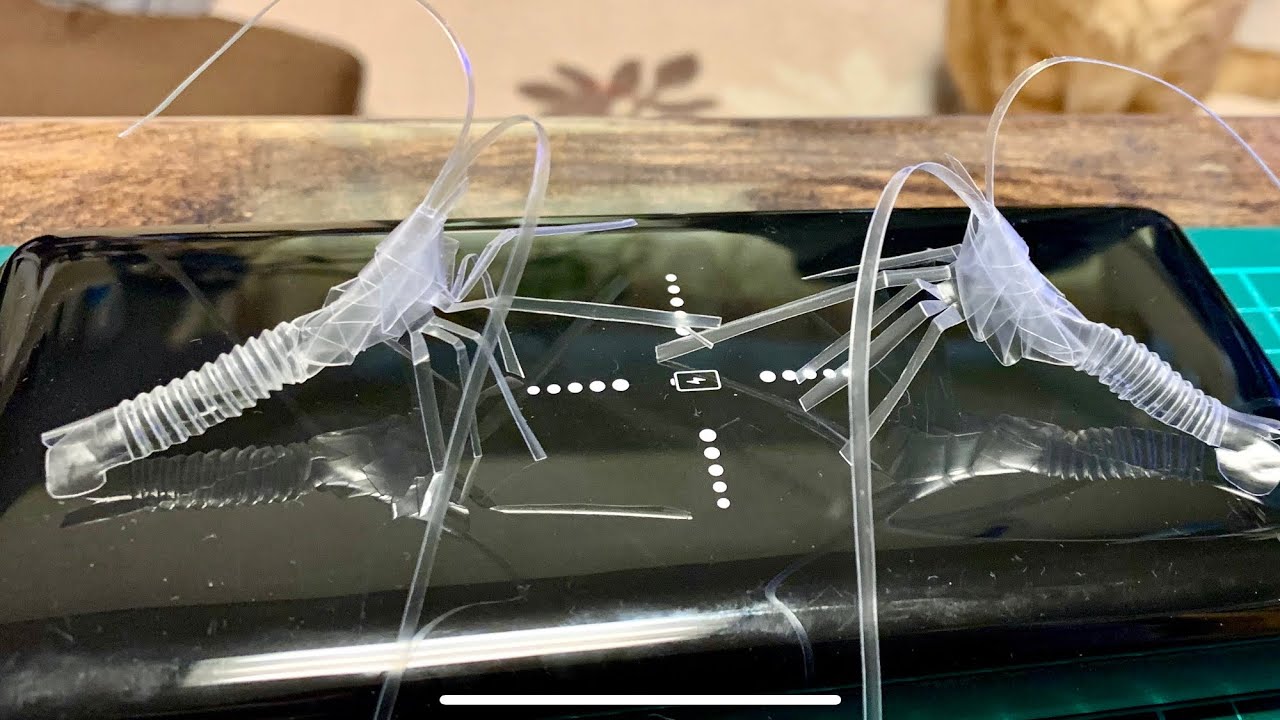 簡単工作ストローでリアルなエビの作り方　Making shrimp with a straw