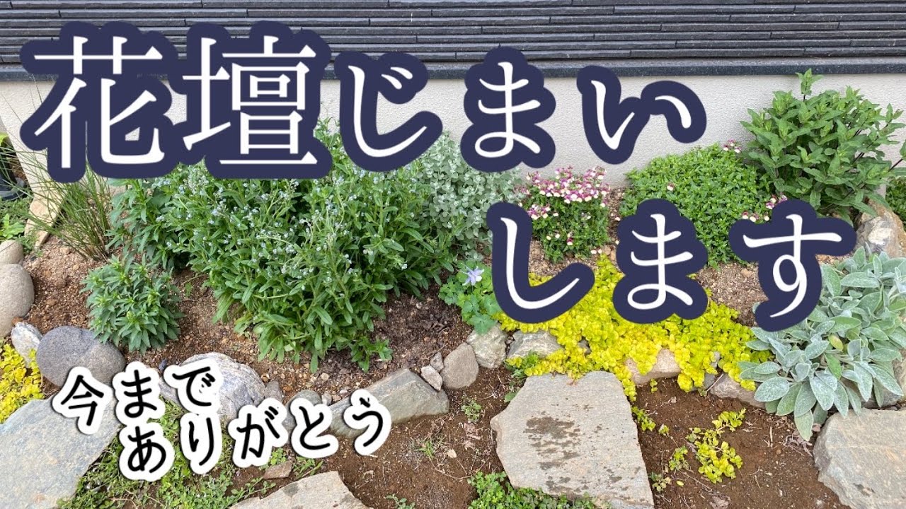 [ガーデニング]花壇じまいします/お庭改造計画