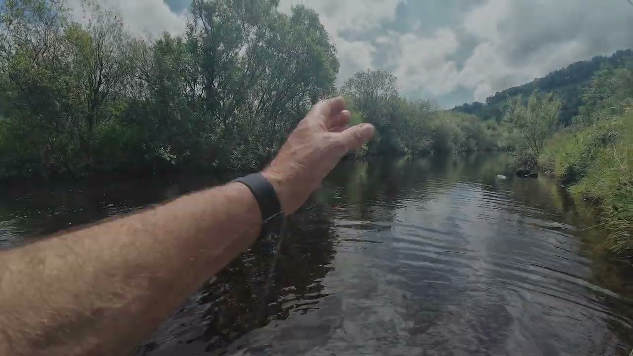 Dry fly, Ure and Wharfe 30 June, 2 July….