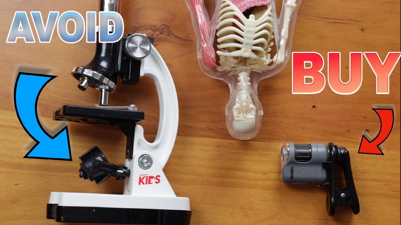 Smart Homeschooling: 8 Products That Deliver Effective Results on a Budget💰