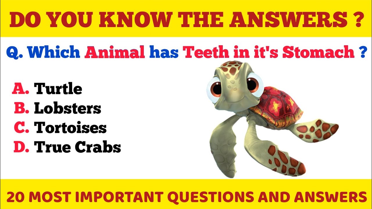 GK Questions On Animals in English | GK based on Animals | GK in English | Animal Quiz | Mitabhra GK
