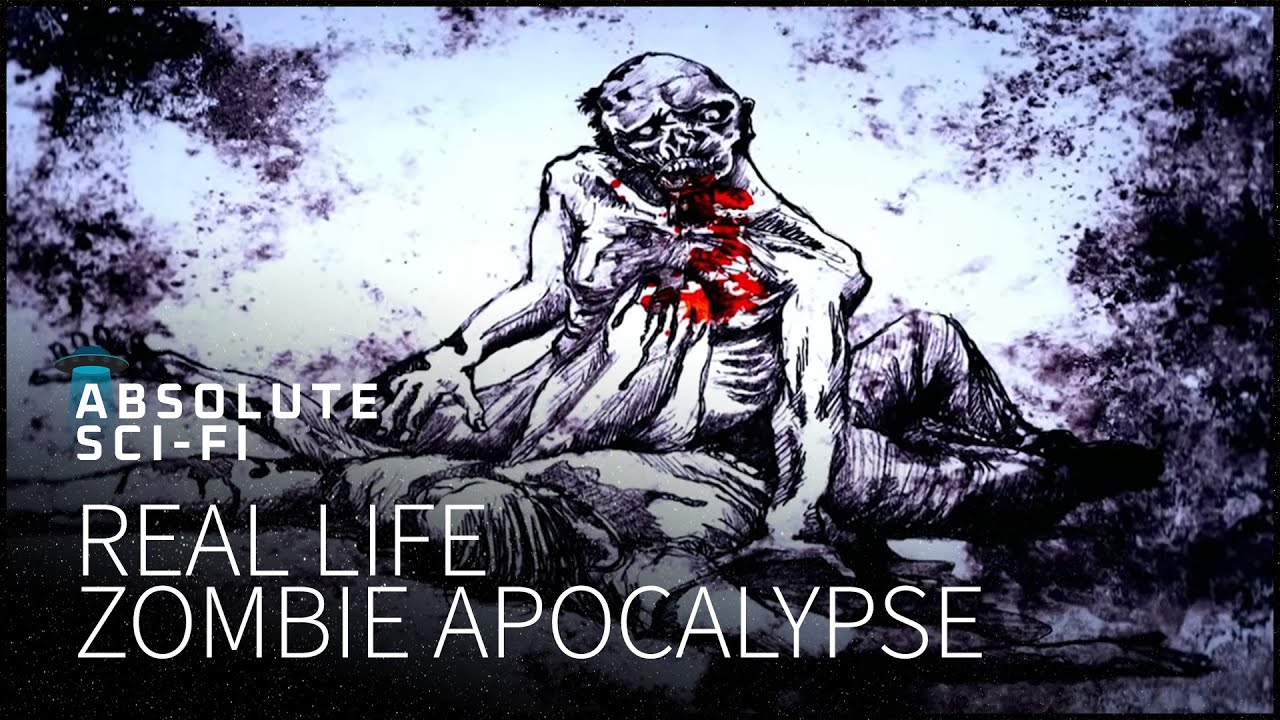 Behind The Florida Cannibal Attacks