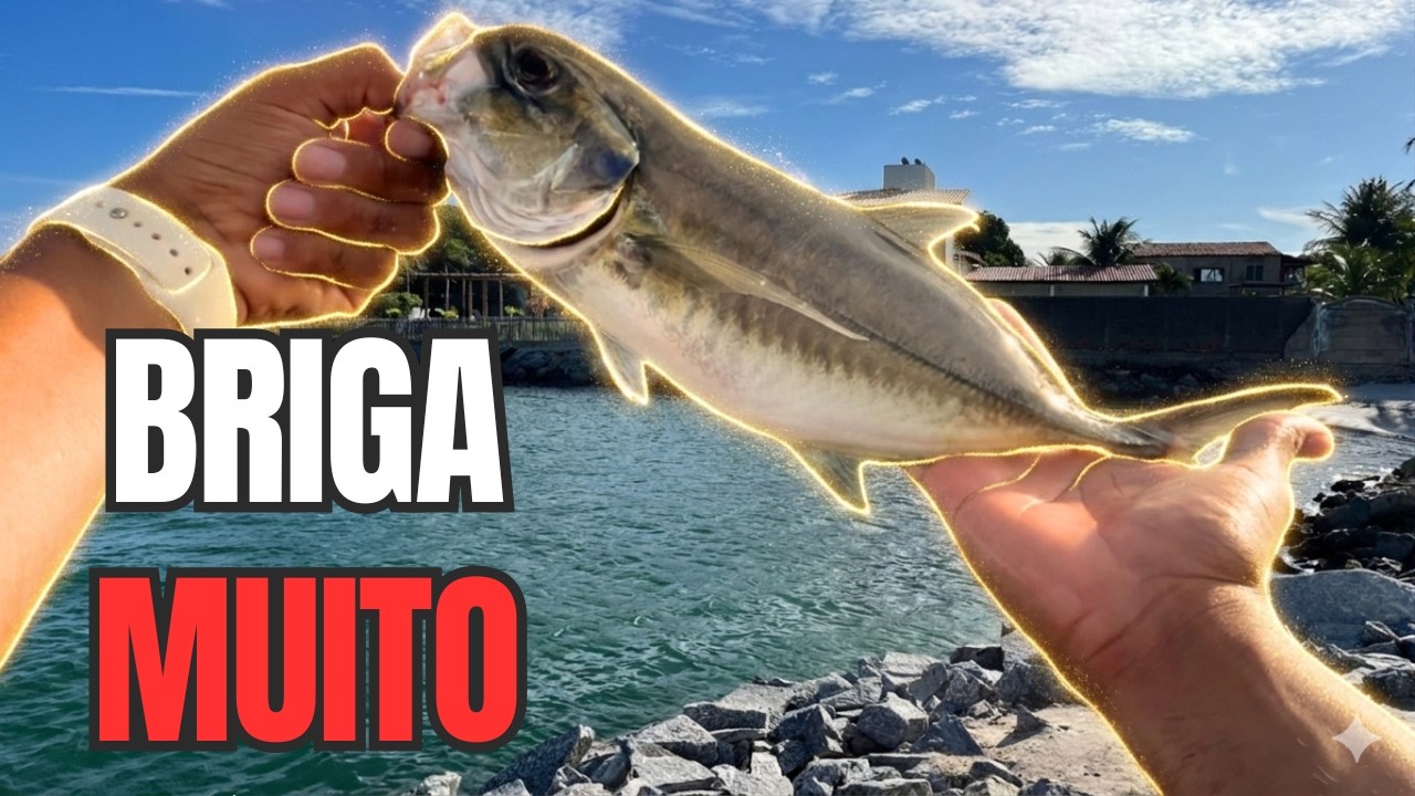GUARAÇUMA NA LINHA! ESSA ESPÉCIE SURPREENDE DEMAIS