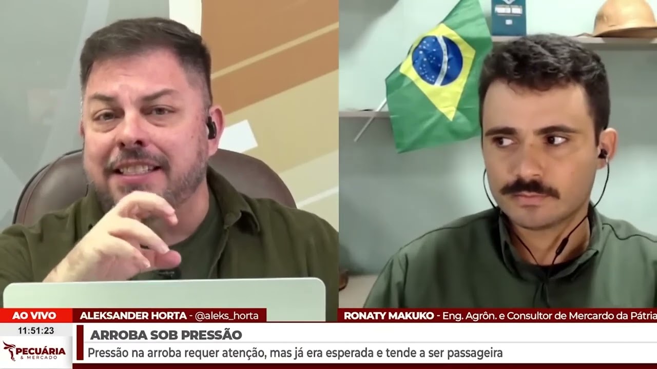📉 Preço em Queda, Oportunidade em Alta: A Visão de Ronaty Makuko sobre o Mercado do Boi
