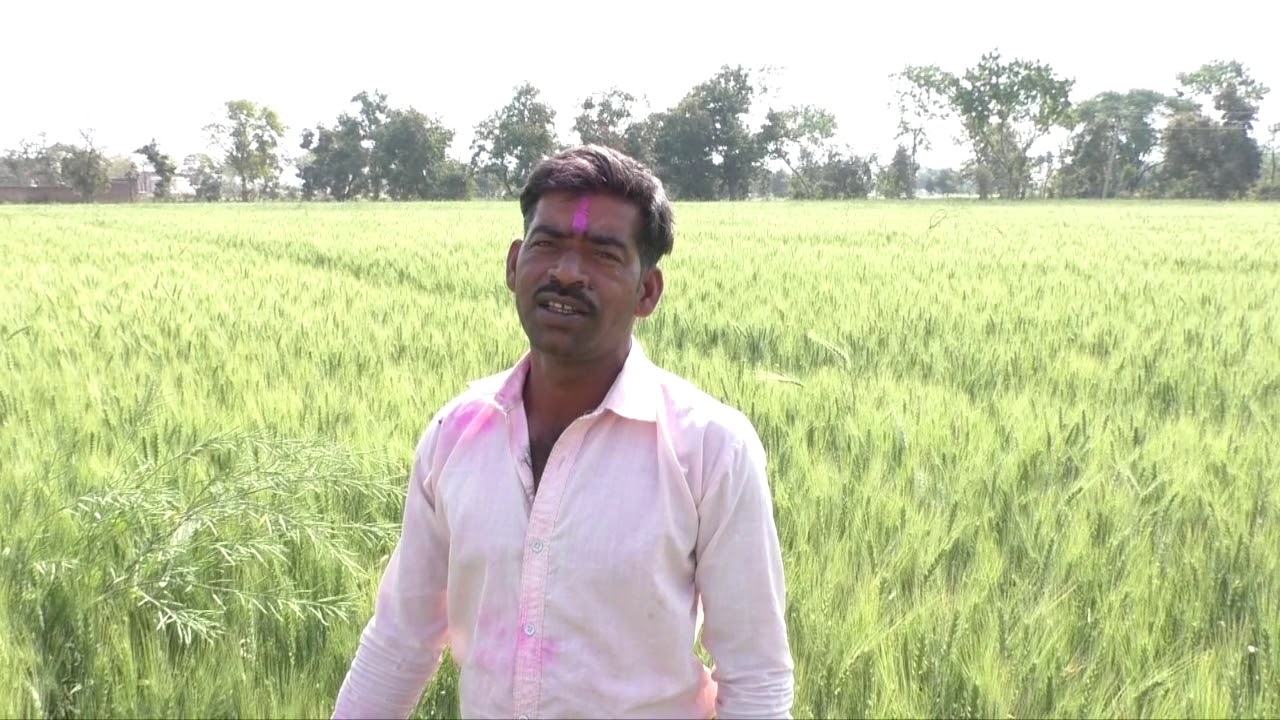 Bamir | Laser Levelling | ICRISAT