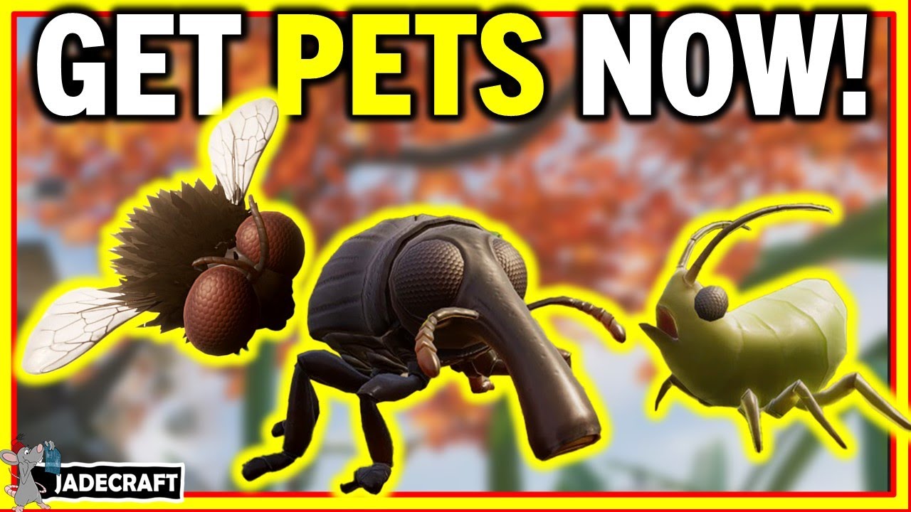 Grounded - How To Get Pet Gnats! Home Stretch Update - Pets Are So Useful Now!
