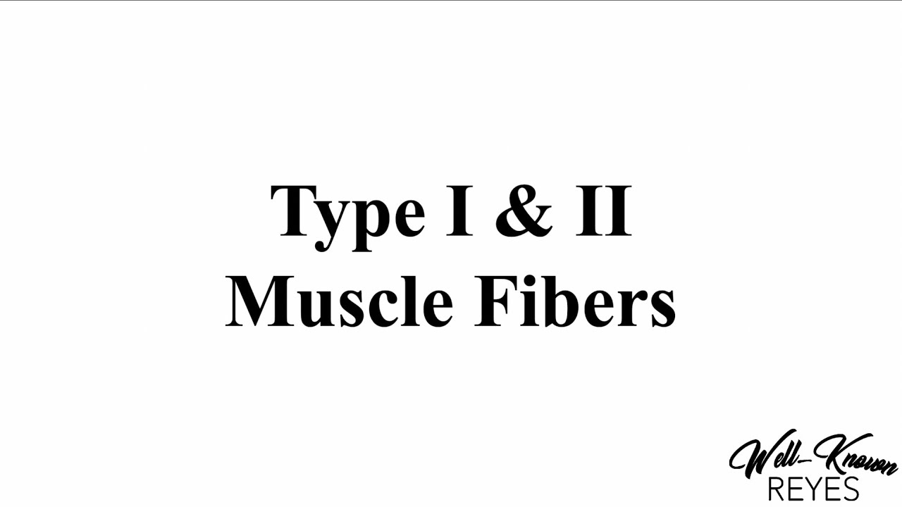 MBLEx Review: Type 1 & 2 Muscle Fibers