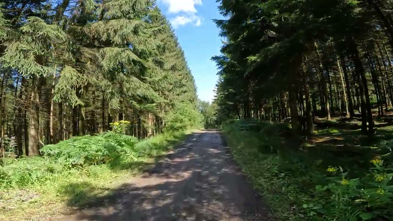 A Walk Through the Scenic Spa-Francorchamps During the F1 Belgian Grand Prix 2024