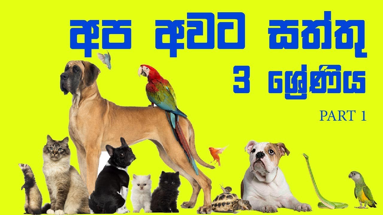 අප අවට සත්තු - 3 ශ්‍රේණිය - 01 කොටස | Apa Awata Saththu - Grade 03 - Part 01