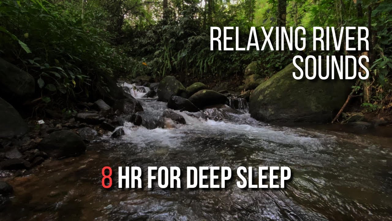 Relaxing River Sounds for Deep Sleep | Calm Forest Water Ambience