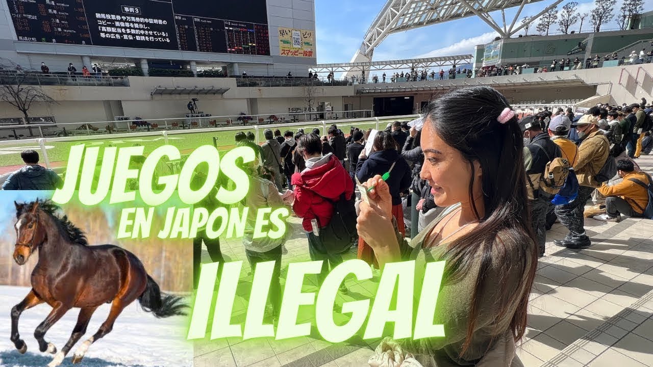ASÍ SON LAS CARRERAS DE APUESTAS DE CABALLO EN JAPÓN🇯🇵🤯