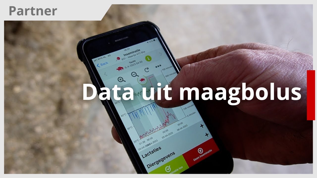 Hoe helpt data uit een bolus in maag koe?