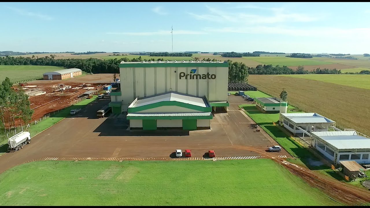 Primato Cooperativa Agroindustrial - Vídeo Institucional 2016