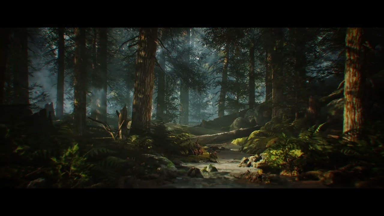 Pine Tree Forest Environment (UE5)