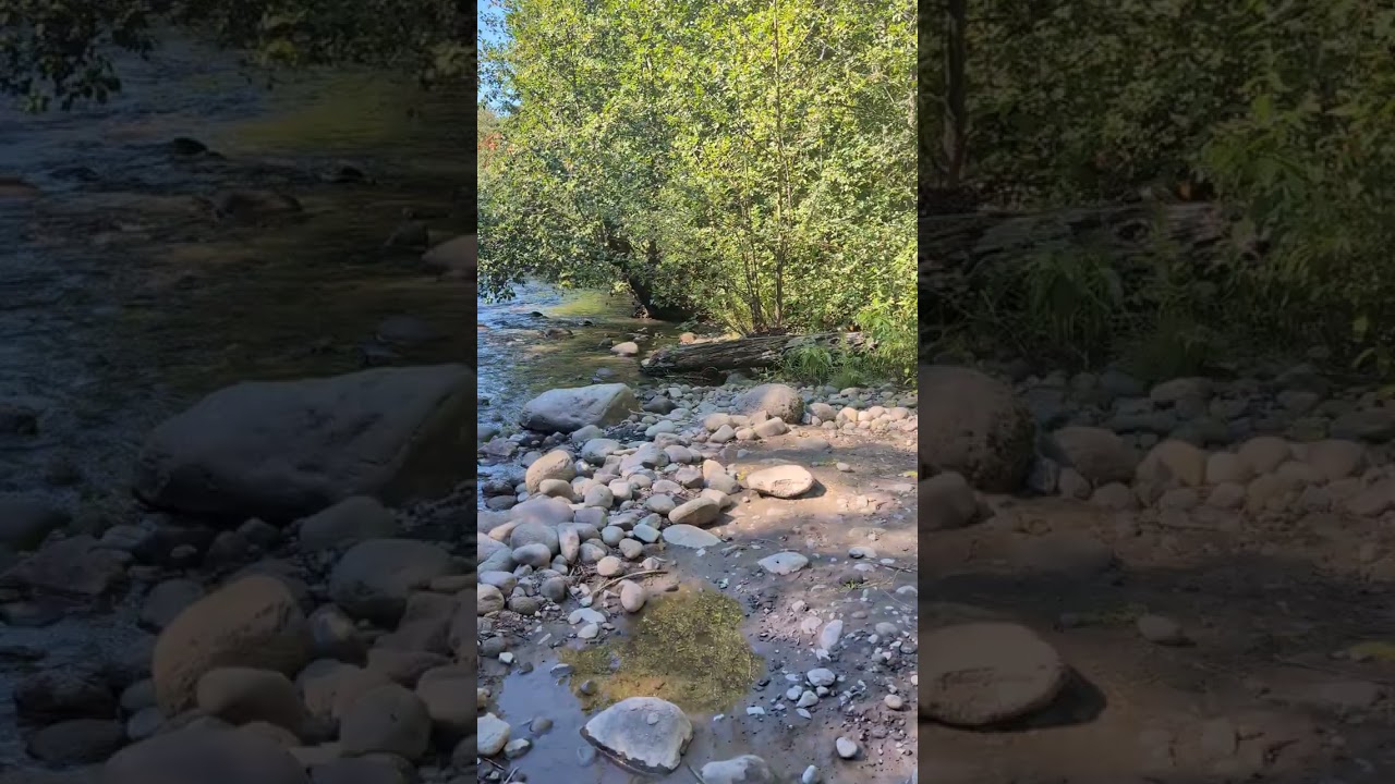 Video of Toll Bridge Park Campground, OR from Marie D.