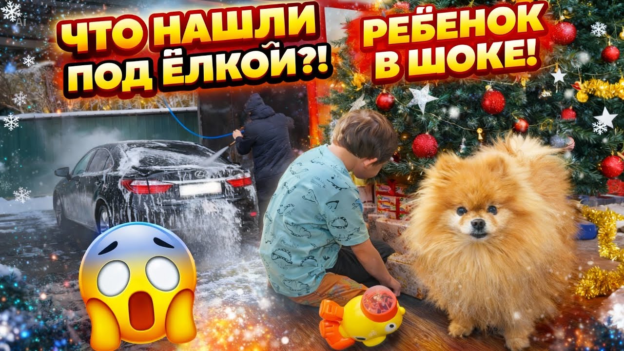 РЕБЁНОК В ШОКЕ 😱 Что нашли под ёлкой?! 🎁 Моём машину, собака и Новогодний влог