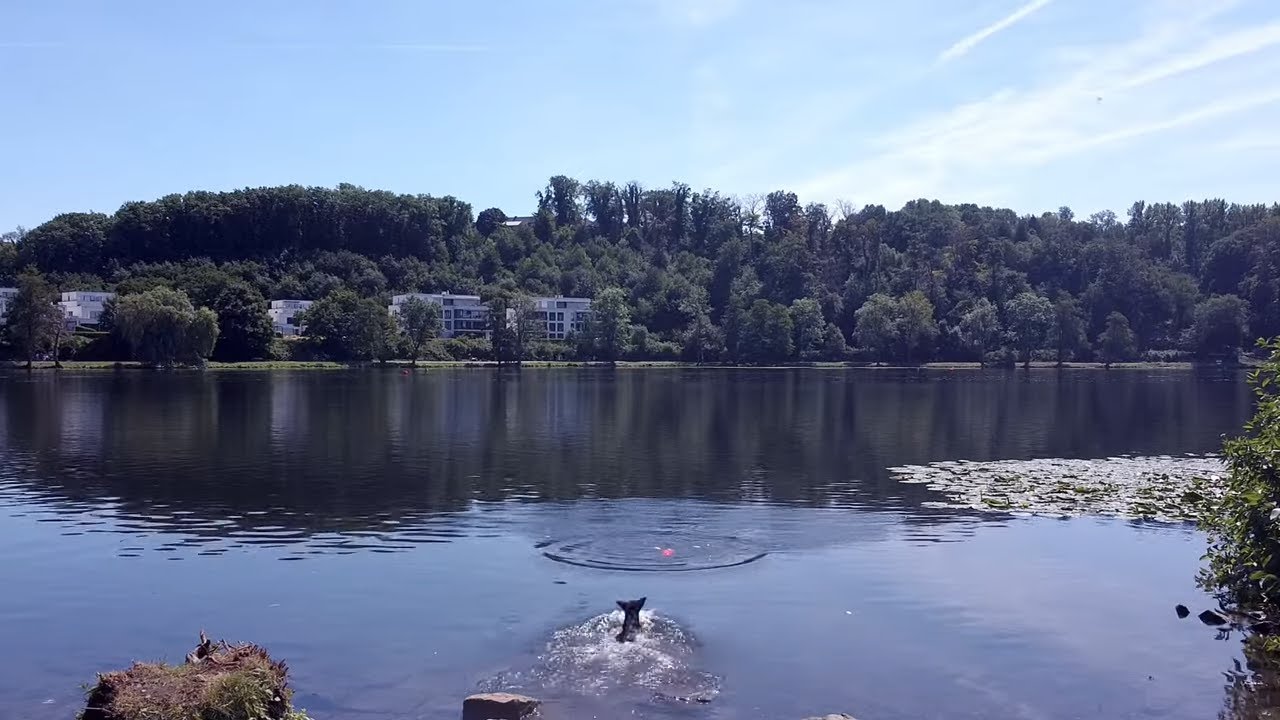 Das Ruhrgebiet von oben: Baldeneysee Teil 5. Stauseebogen Essen- Heisingen