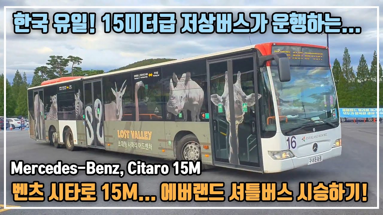 한국에 벤츠 시내버스가 있다? 용인 에버랜드 벤츠 시타로 15M 시승하기! + 영상 모음...