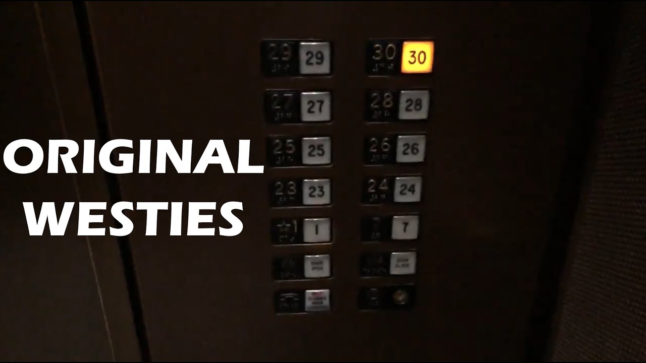 Great Original Westinghouse Elevators (ALL BANKS) - Richard J. Daley Center in Chicago, IL