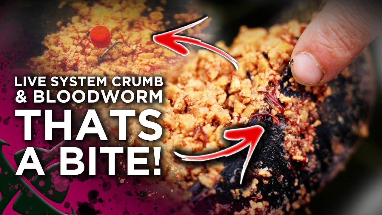 INCREDIBLE AUTUMN AND WINTER BIG CARP FISHING BAIT MIX! 😉
