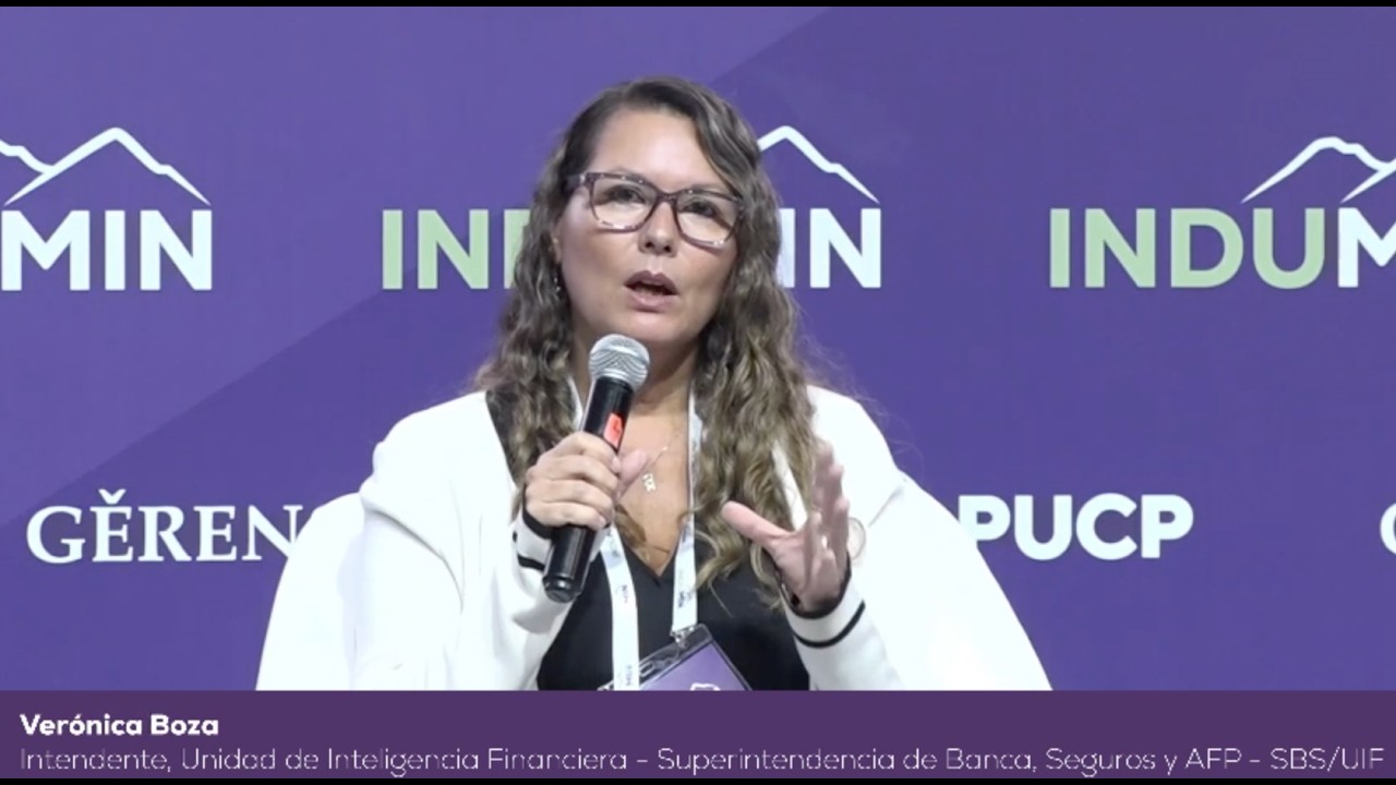 D&iacute;a 3: LEY MAPE: INCENTIVOS QUE FORMALIZAN Y BANCARIZAN A LA MAPE | PANEL